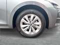 Skoda Octavia Selection TDI DSG Grau - thumbnail 6