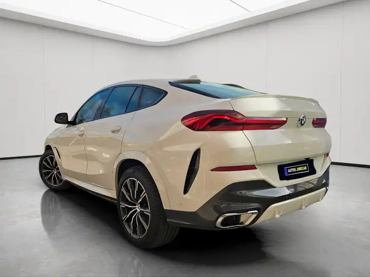 BMW X6 2020, foto 11