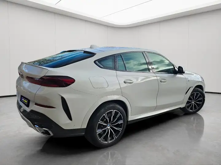 BMW X6 2020, foto 10
