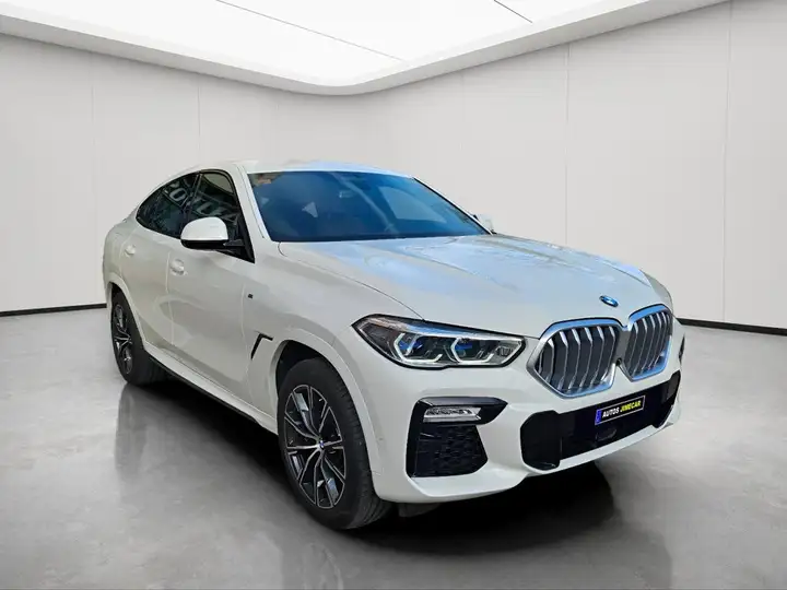 BMW X6 2020, foto 12