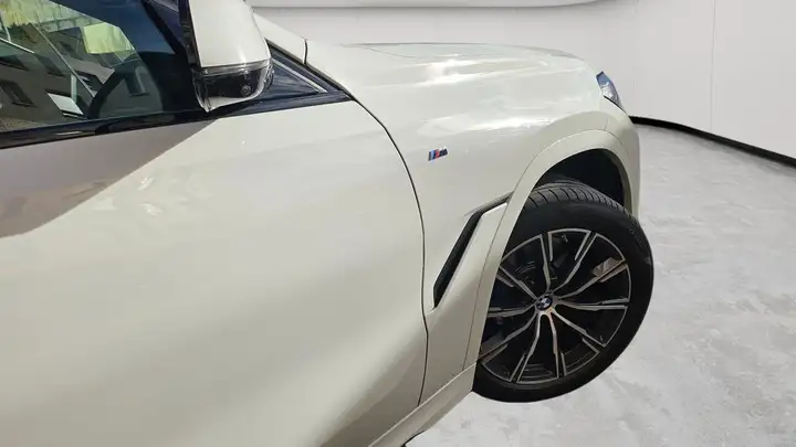 BMW X6 2020, foto 24