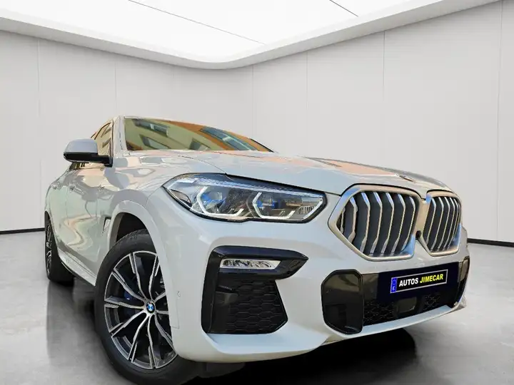 BMW X6 2020, foto 14