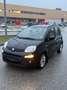 Fiat Panda 1,2 / Top Zustand / 1. Besitz / Klimaanlage - thumbnail 3