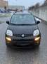 Fiat Panda 1,2 / Top Zustand / 1. Besitz / Klimaanlage - thumbnail 2