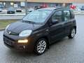 Fiat Panda 1,2 / Top Zustand / 1. Besitz / Klimaanlage - thumbnail 4