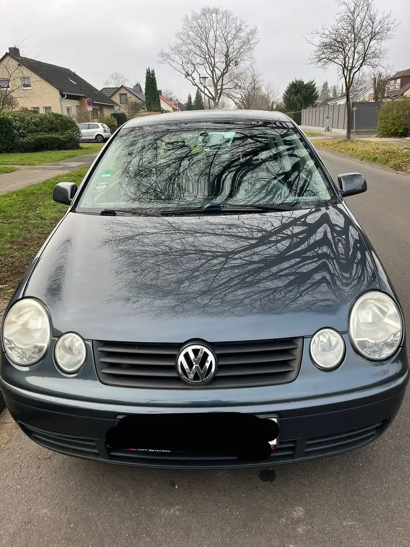 Volkswagen Polo Cricket Grau - 1