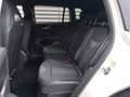 Volkswagen Tiguan R-Line TDI 4MOTION DSG Weiß - thumbnail 15