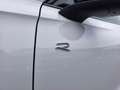 Volkswagen Tiguan R-Line TDI 4MOTION DSG Weiß - thumbnail 17