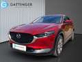 Mazda CX-30 G150 AWD Comfort+/SO/ST/PR/TE Aut. Rot - thumbnail 1