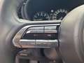 Mazda CX-30 G150 AWD Comfort+/SO/ST/PR/TE Aut. Rot - thumbnail 21
