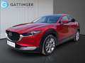 Mazda CX-30 G150 AWD Comfort+/SO/ST/PR/TE Aut. Rot - thumbnail 2