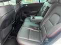 Kia Sportage Sportage 1.6 CRDI 136 CV DCT7 2WD Mild Hybrid GT L Bianco - thumbnail 13