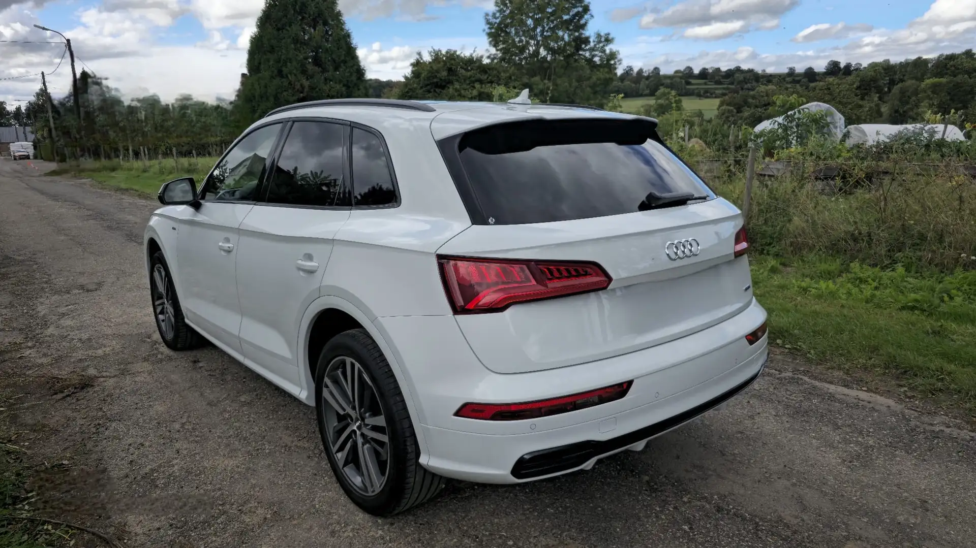 Audi Q5 35 TDi Quattro S tronic Blanc - 2