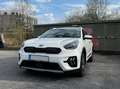 Kia Niro Niro 1,6 GDI GPF Plug-In Hybrid PHEV Platin DCT Platin Weiß - thumbnail 1
