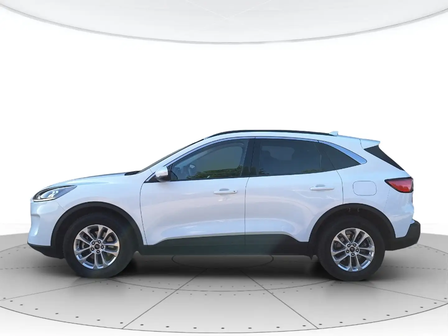 Ford Kuga 1.5 ecoblue Titanium Business 2wd 120cv auto Wit - 2