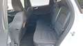 Ford Kuga 1.5 ecoblue Titanium Business 2wd 120cv auto Wit - thumbnail 8