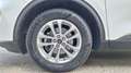 Ford Kuga 1.5 ecoblue Titanium Business 2wd 120cv auto Wit - thumbnail 5