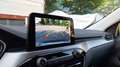 Ford Kuga 1.5 ecoblue Titanium Business 2wd 120cv auto Wit - thumbnail 16