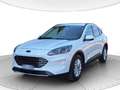 Ford Kuga 1.5 ecoblue Titanium Business 2wd 120cv auto Wit - thumbnail 1
