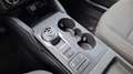 Ford Kuga 1.5 ecoblue Titanium Business 2wd 120cv auto Wit - thumbnail 13