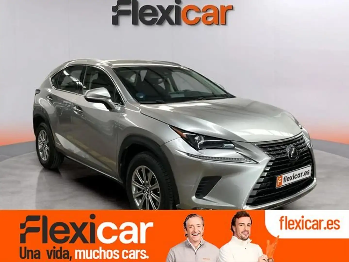 Lexus NX 300 300h Business Navigation 2WD Gris - 1