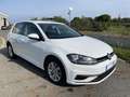 Volkswagen Golf 1.6TDI Business Edition 85kW Wit - thumbnail 1