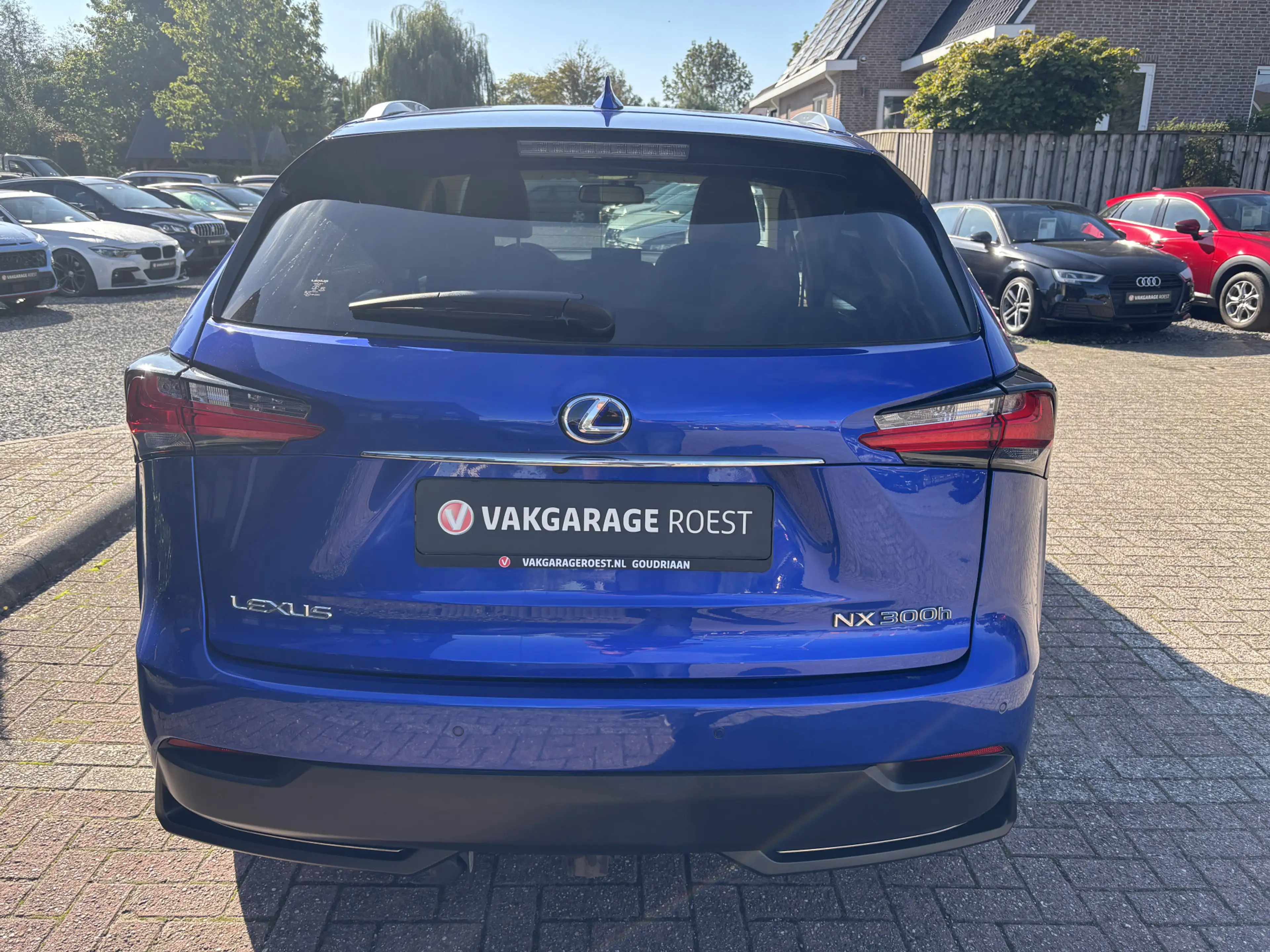 Lexus NX 300 Hybrid AWD Luxury Line Automaat Trekhaak / Camera — photo 14