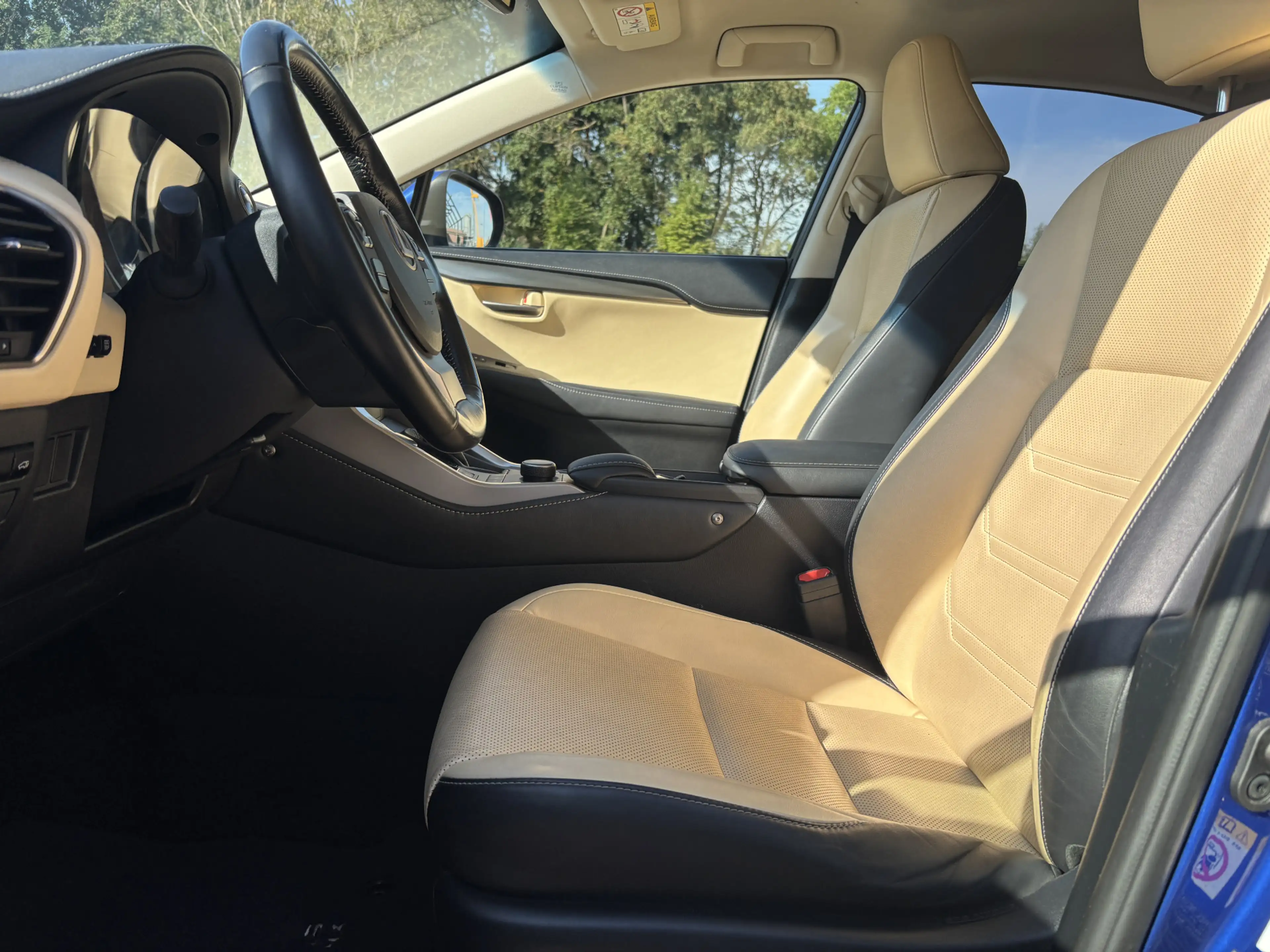 Lexus NX 300 Hybrid AWD Luxury Line Automaat Trekhaak / Camera — photo 17