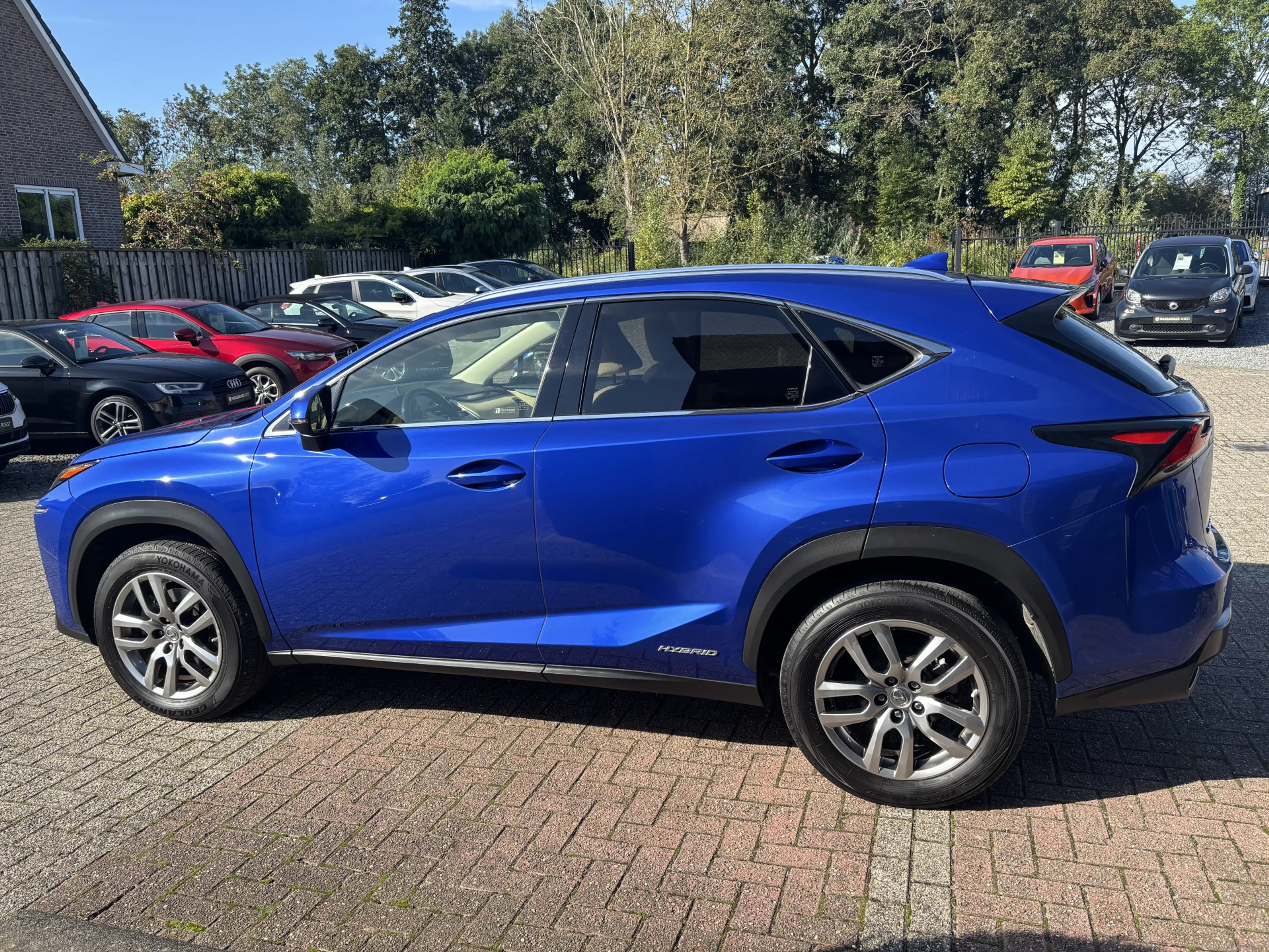 Lexus NX 300 Hybrid AWD Luxury Line Automaat Trekhaak / Camera — photo 16