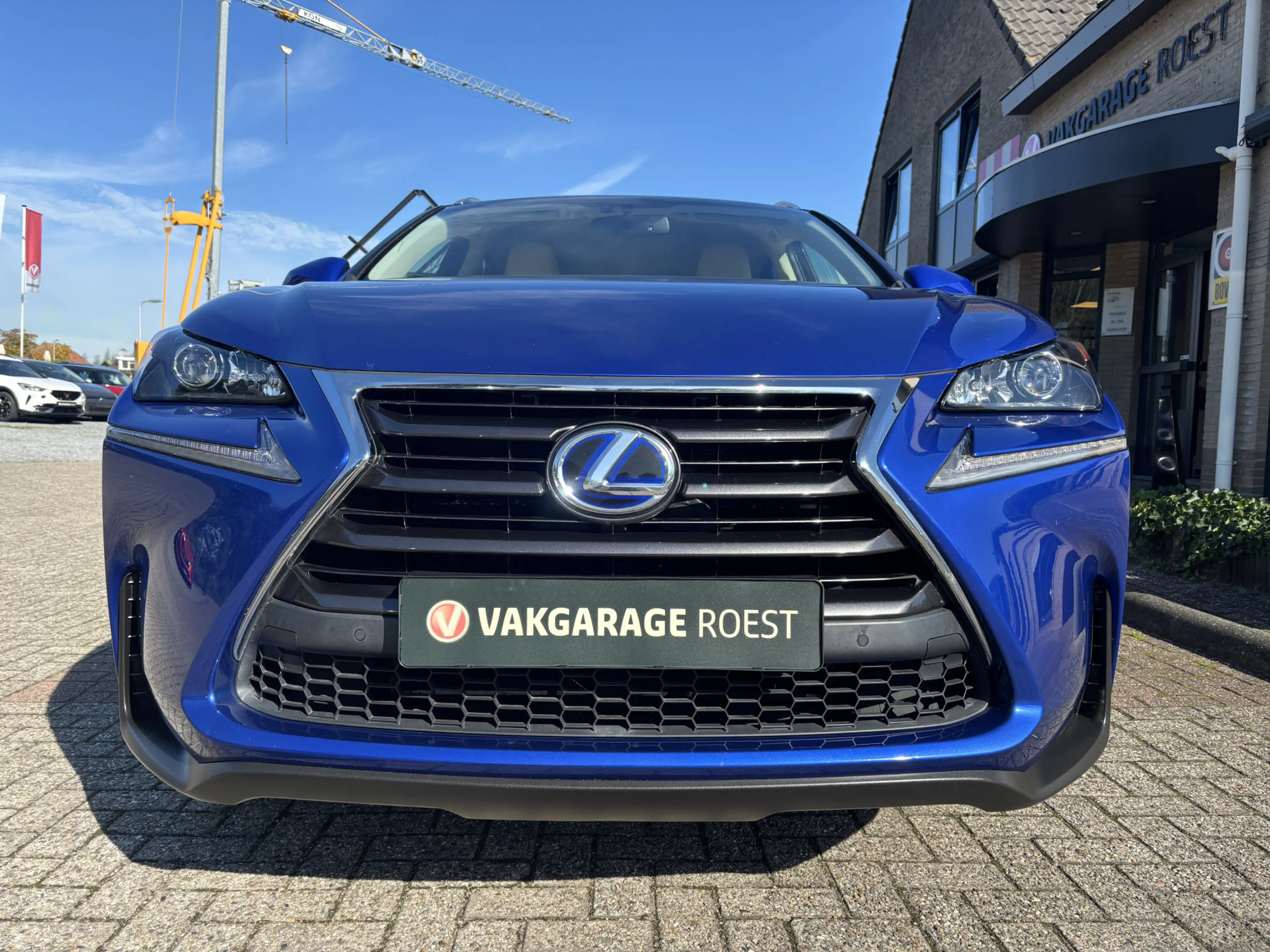 Lexus NX 300 Hybrid AWD Luxury Line Automaat Trekhaak / Camera — photo 11