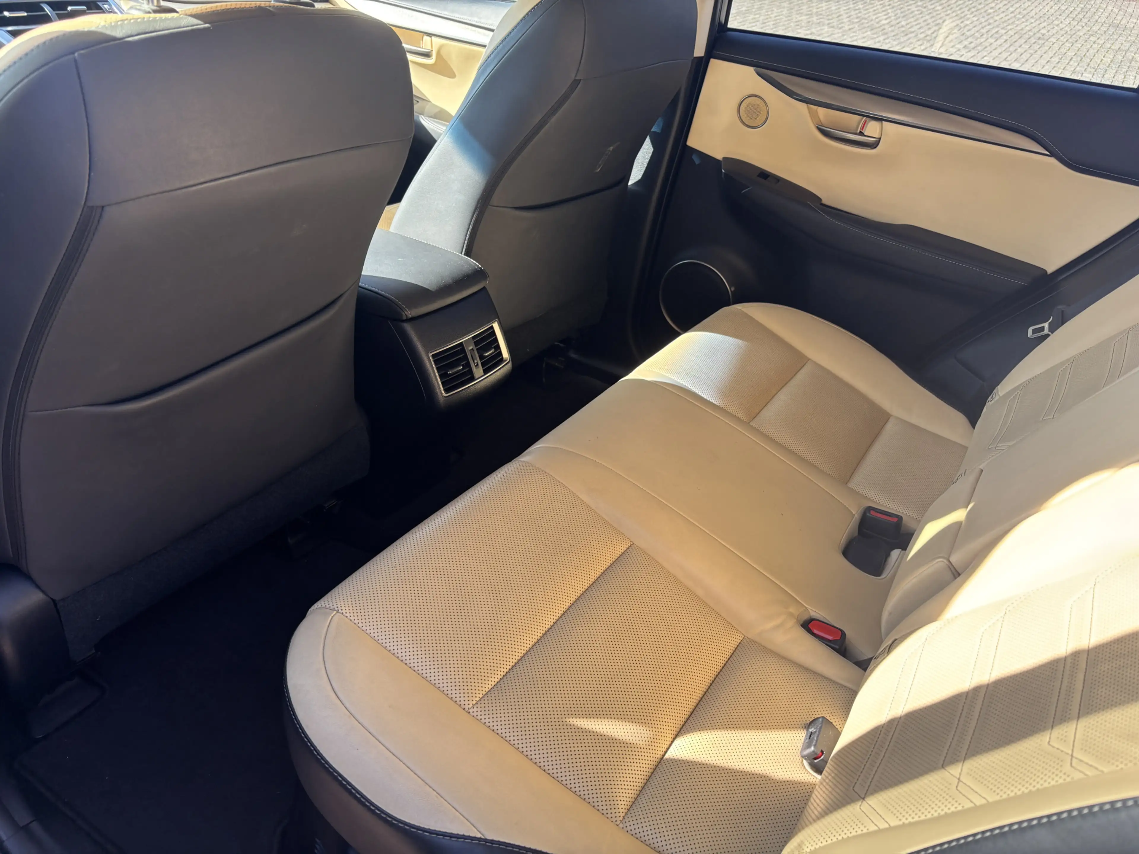 Lexus NX 300 Hybrid AWD Luxury Line Automaat Trekhaak / Camera — photo 18