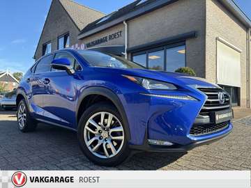 Hybrid AWD Luxury Line Automaat Trekhaak / Camera