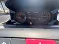 Lancia Ypsilon LANCIA MY24 1,0 FIREFLY PLATINO 70 CV HYBRID STAR Bleu - thumbnail 25