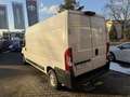 Fiat Ducato 35 140 Multijet L4H2 (EURO 6d) Weiß - thumbnail 3