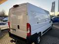 Fiat Ducato 35 140 Multijet L4H2 (EURO 6d) Weiß - thumbnail 4