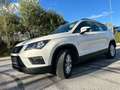 SEAT Ateca Ateca 1,0 ME TSI ME Weiß - thumbnail 1