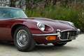Jaguar E-Type V12 Rosso - thumbnail 7