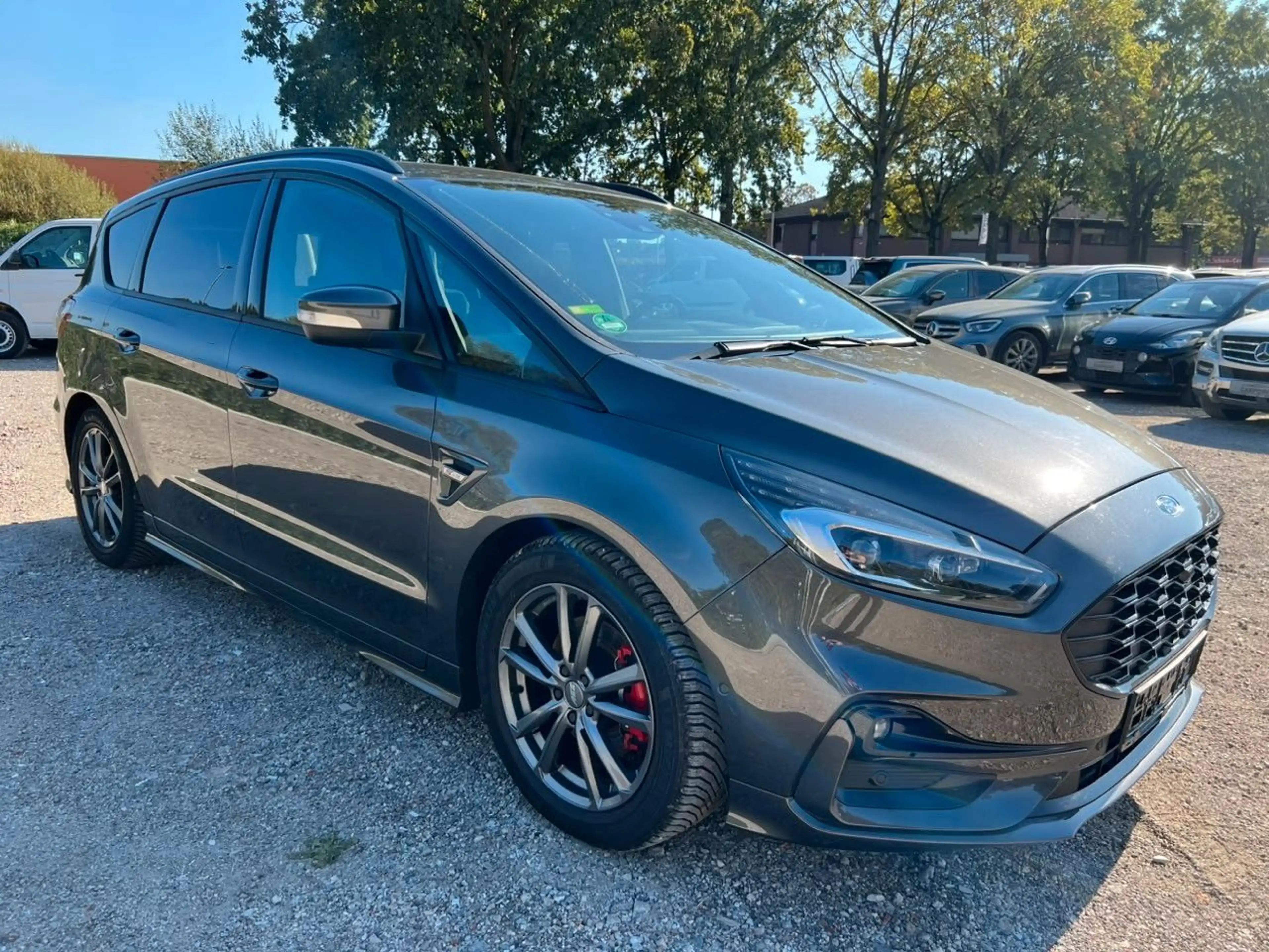 Ford S-Max 2.0 EcoBlue ST-Line Navi Klimaauto. Leder — photo 6