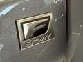 Lexus RX 500h Silber - thumbnail 34