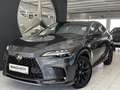 Lexus RX 500h Silber - thumbnail 1