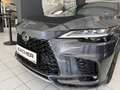 Lexus RX 500h Silber - thumbnail 43