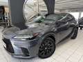 Lexus RX 500h Silber - thumbnail 2