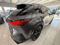 Lexus RX 500h Silber - thumbnail 8