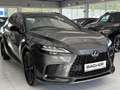 Lexus RX 500h Silber - thumbnail 10