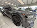 Lexus RX 500h Silber - thumbnail 9