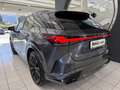 Lexus RX 500h Silber - thumbnail 5
