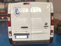Fiat Talento Bianco - thumbnail 7