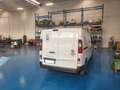 Fiat Talento Bianco - thumbnail 6