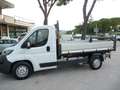 Fiat Ducato 35 2.3 MJT 160CV PLM Cabinato Maxi RIBALTABILE Blanc - thumbnail 12