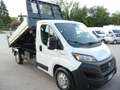 Fiat Ducato 35 2.3 MJT 160CV PLM Cabinato Maxi RIBALTABILE Blanc - thumbnail 5